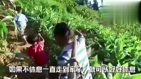 情人节娱乐吃瓜视频大全,趣味视频大盘点，笑料与浪漫并存
