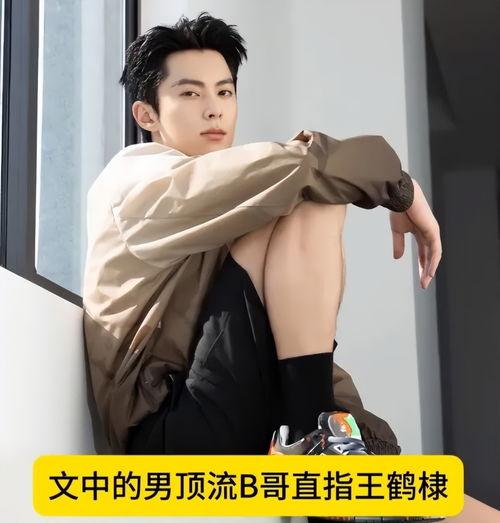 娱乐圈吃瓜爆料王鹤棣,CP粉争议与感情纠葛揭秘