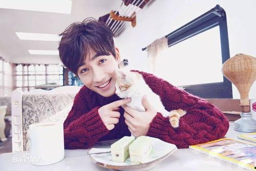 娱乐吃瓜酱南方男友,娱乐吃瓜酱的甜蜜邂逅