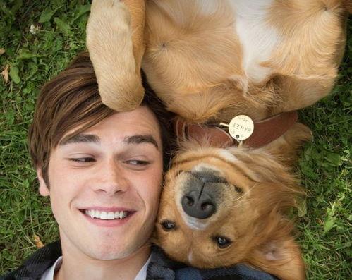 走近科学小狗长大娱乐吃瓜酱,揭秘小狗长大娱乐吃瓜酱背后的秘密