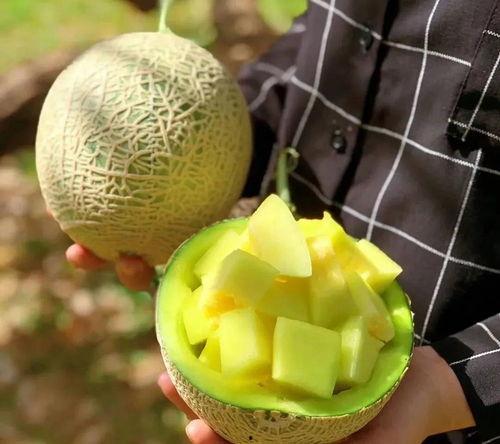 娱乐吃瓜张凌赫