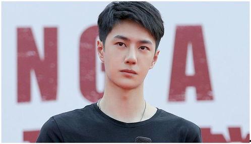 吃瓜娱乐圈王一博是谁,娱乐圈的璀璨新星