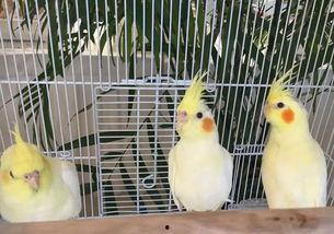 郑州公司吃瓜娱乐公司,揭秘幕后故事与行业风云