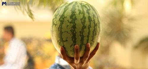 娱乐圈吃瓜是什么,揭秘明星背后的故事与真相